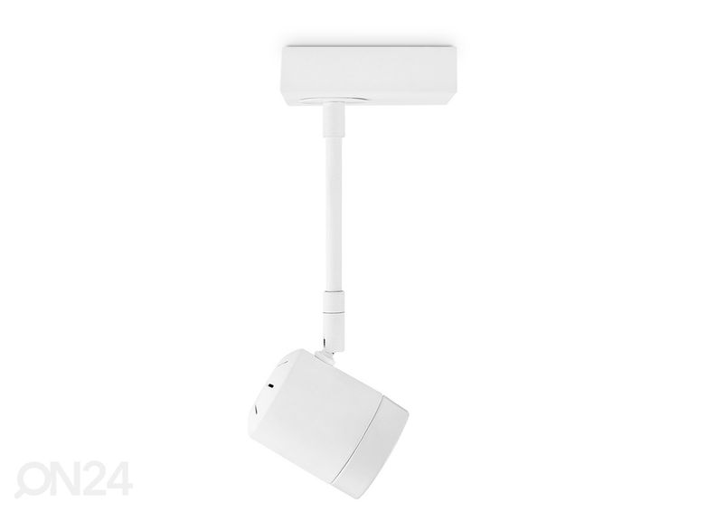 Kohtvalgusti Manu suurendatud