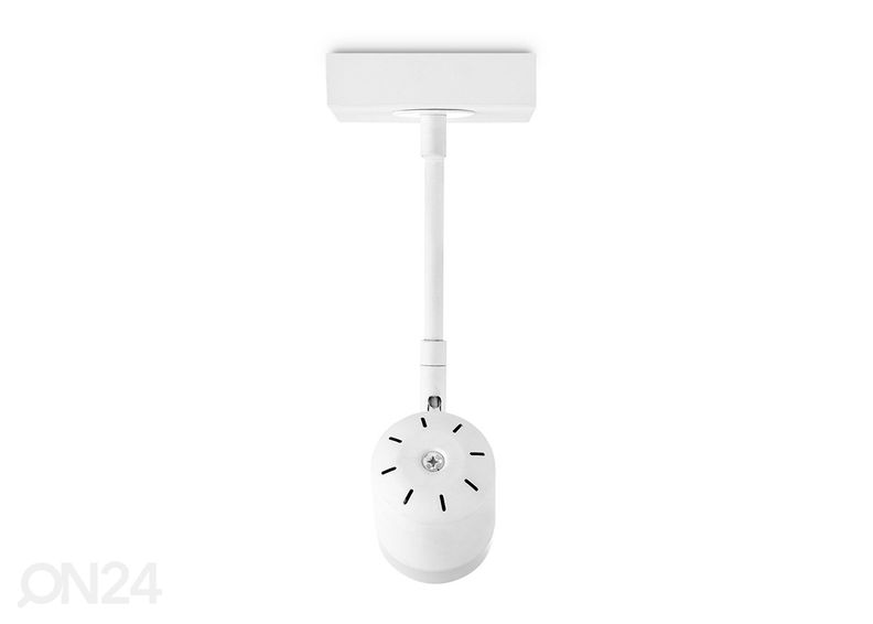 Kohtvalgusti Manu suurendatud