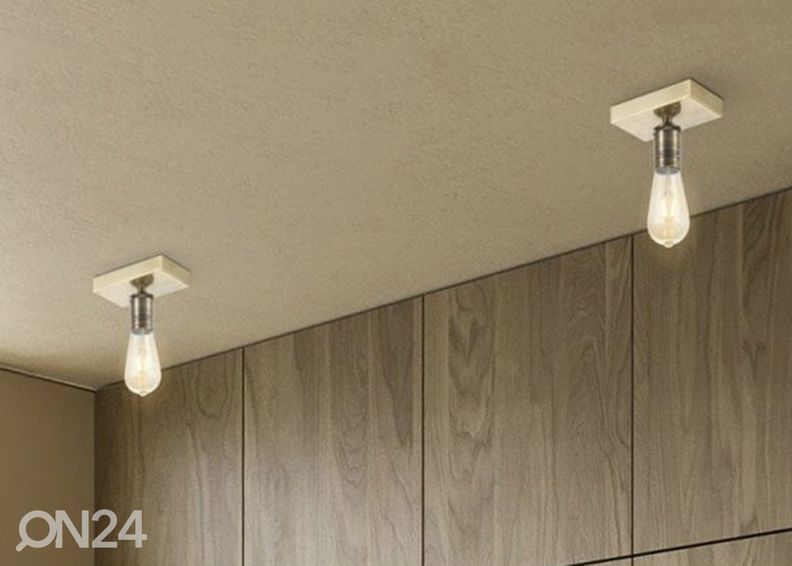 Kohtvalgusti Nitro suurendatud