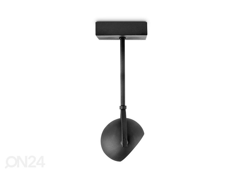 Kohtvalgusti Nop suurendatud