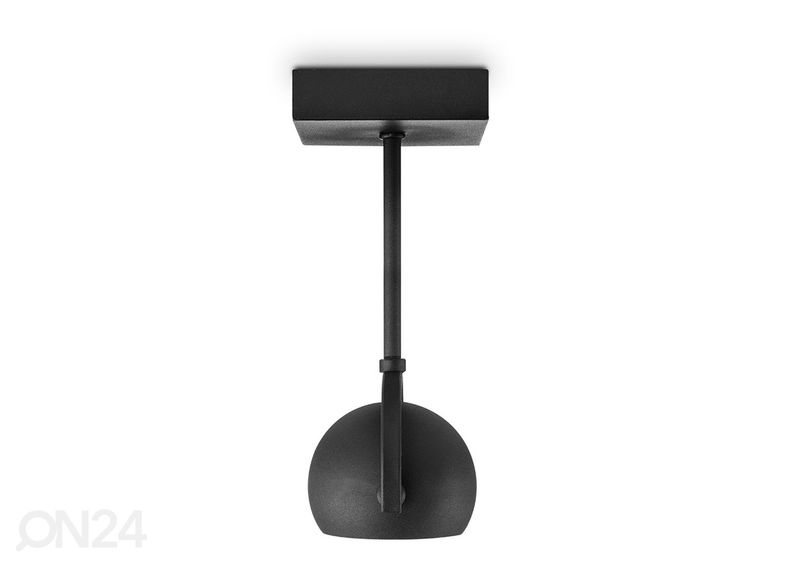 Kohtvalgusti Nop suurendatud