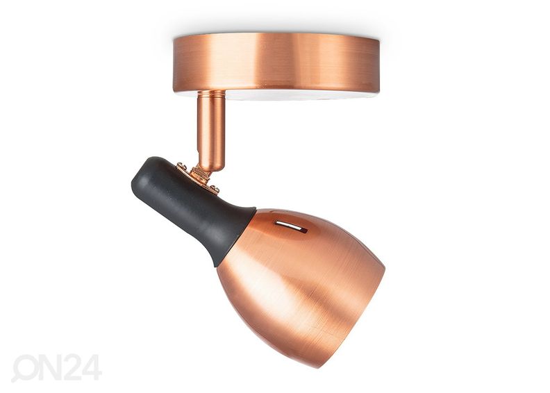 Kohtvalgusti Novi suurendatud