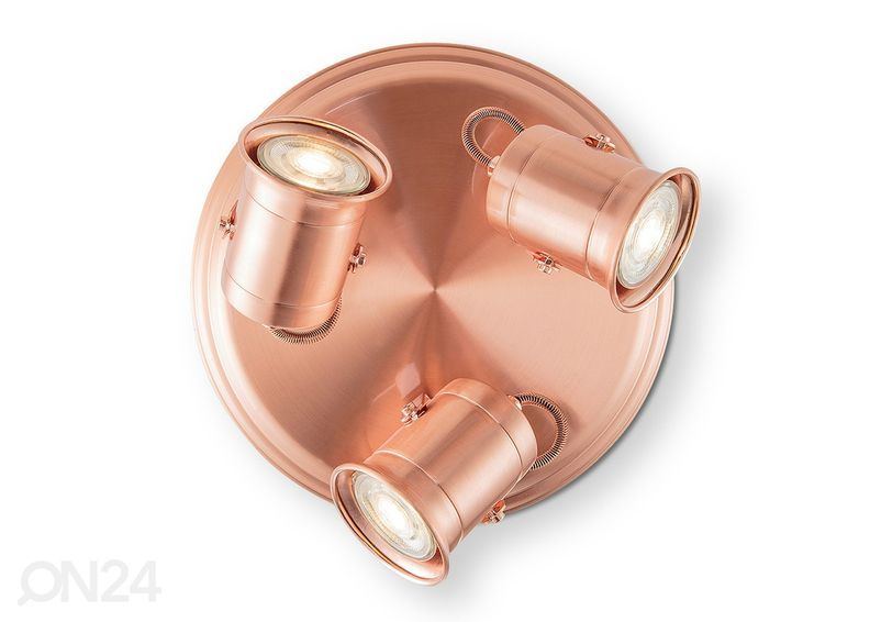 Kohtvalgusti Venn suurendatud