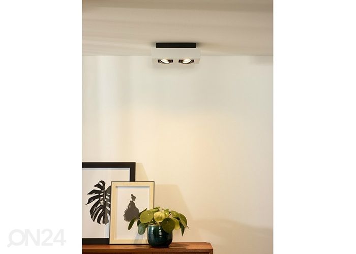 Kohtvalgusti Xirax suurendatud