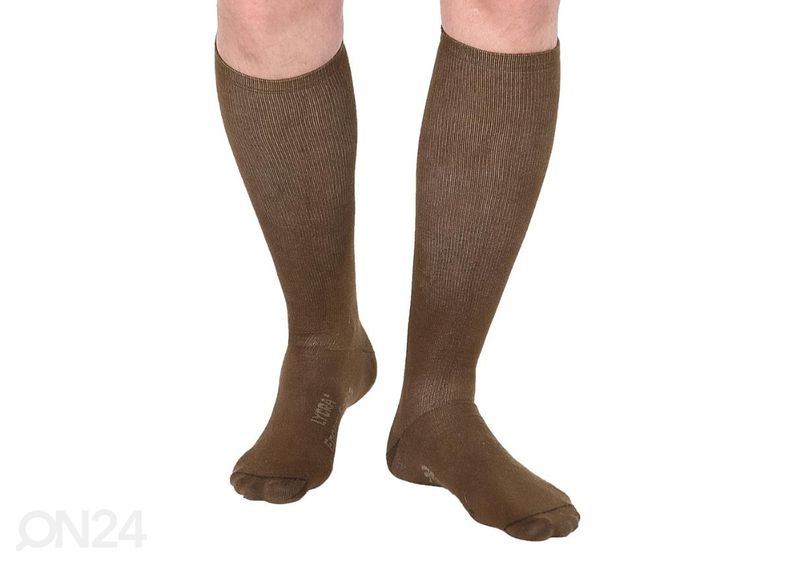 Kompressioon põlvikud Insecta suurendatud