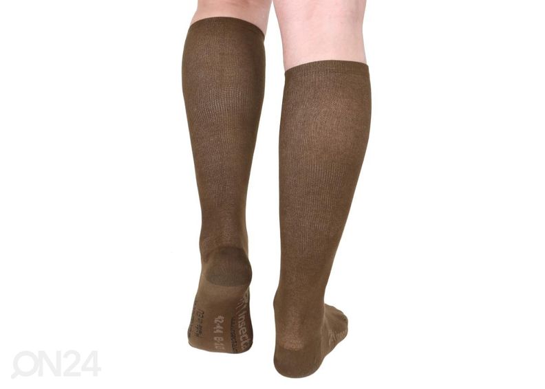 Kompressioon põlvikud Insecta suurendatud