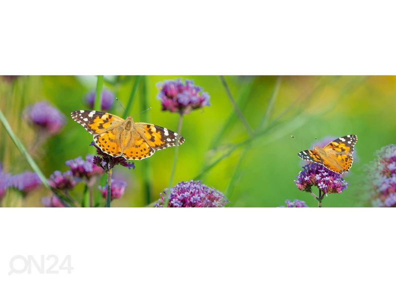 Köögi tagasein Butterflies 260x60 cm suurendatud