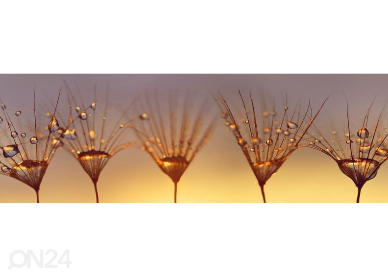 Köögi tagasein Drops on dandelion 260x60 cm suurendatud