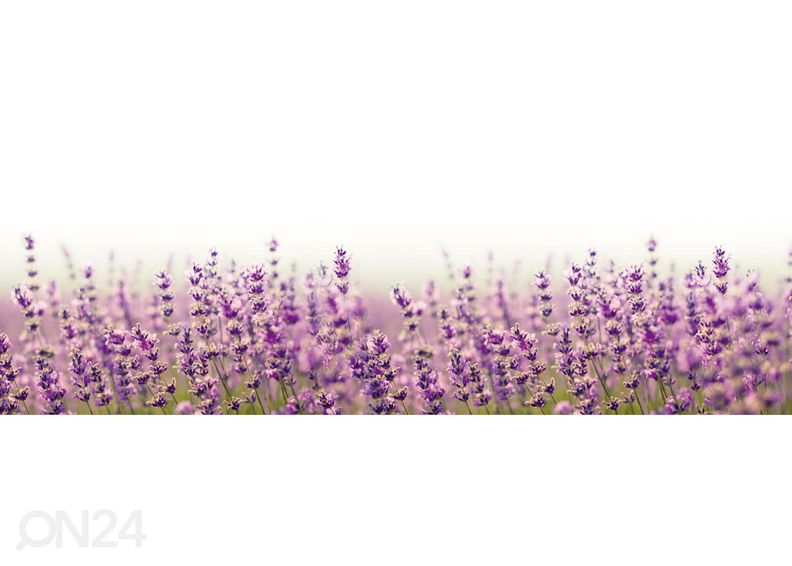 Köögi tagasein Fabulous lavender 180x60 cm suurendatud