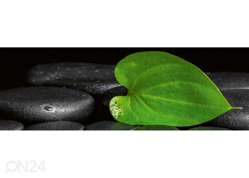 Köögi tagasein Green Leaf Spa 350x60 cm suurendatud