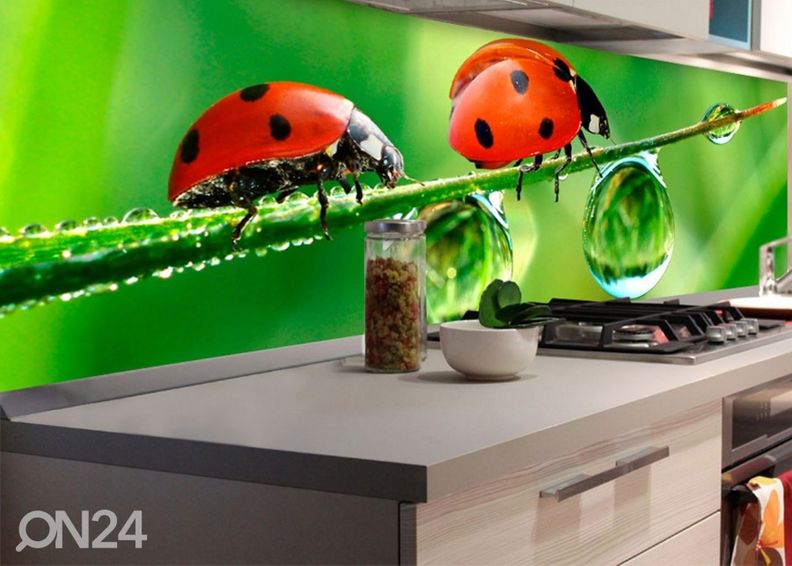 Köögi tagasein Ladybird 260x60 cm suurendatud