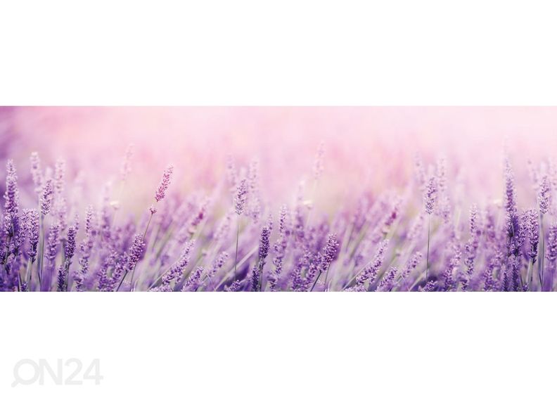 Köögi tagasein Lavender 350x60 cm suurendatud