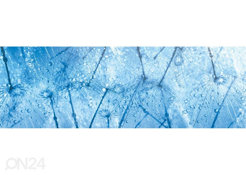 Köögi tagasein Macro of dandelion 180x60 cm suurendatud