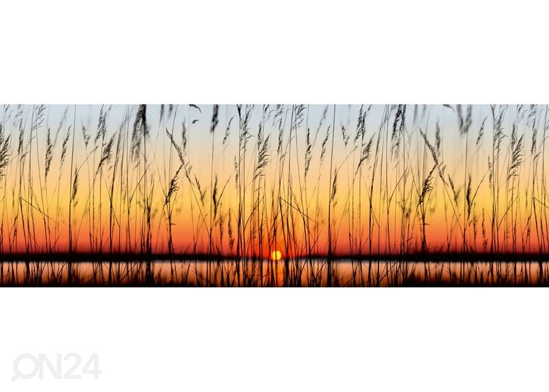 Köögi tagasein Reed 180x60 cm suurendatud