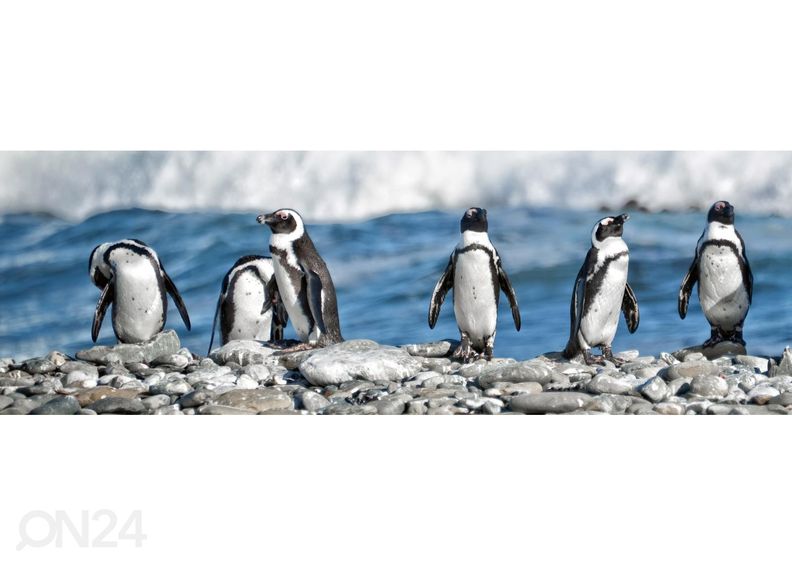Köögi tagasein Row of penguins 180x60 cm suurendatud