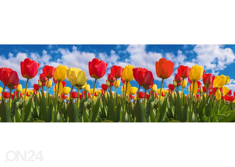 Köögi tagasein Spring tulip field 350x60 cm suurendatud
