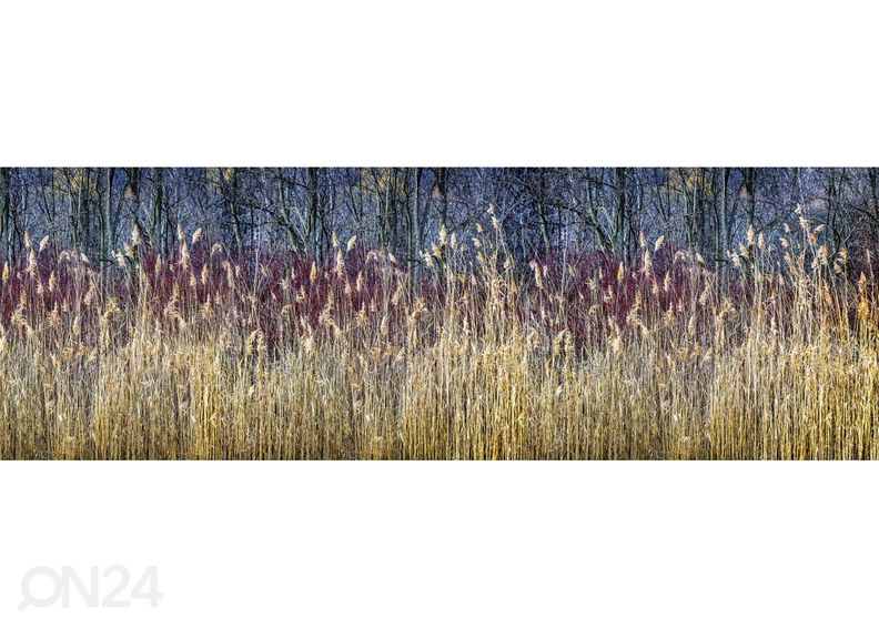 Köögi tagasein Winter Reeds 260x60 cm suurendatud