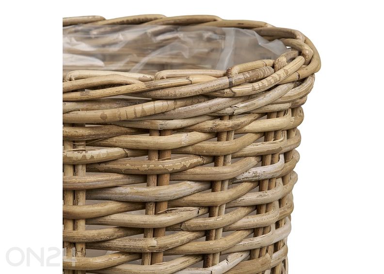 Korvid Kalak, 2 tk suurendatud