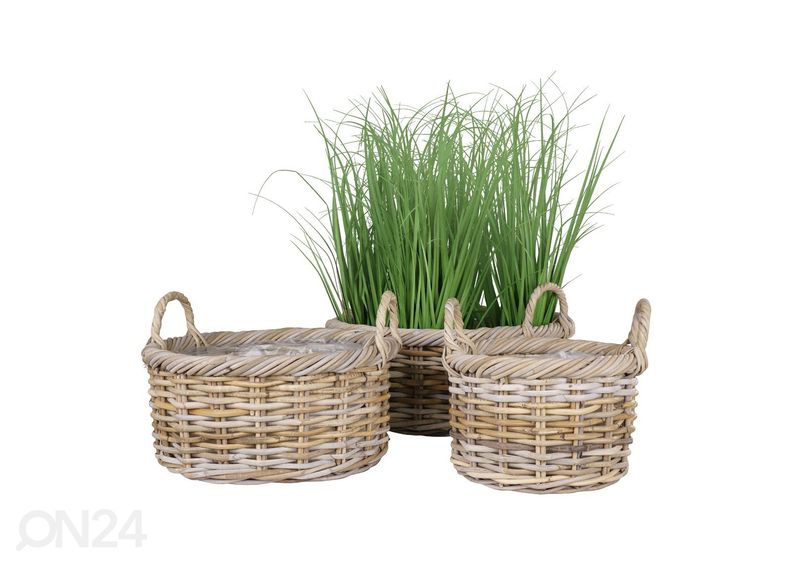 Korvid / lillepotid Bạc Liêu 3 tk suurendatud