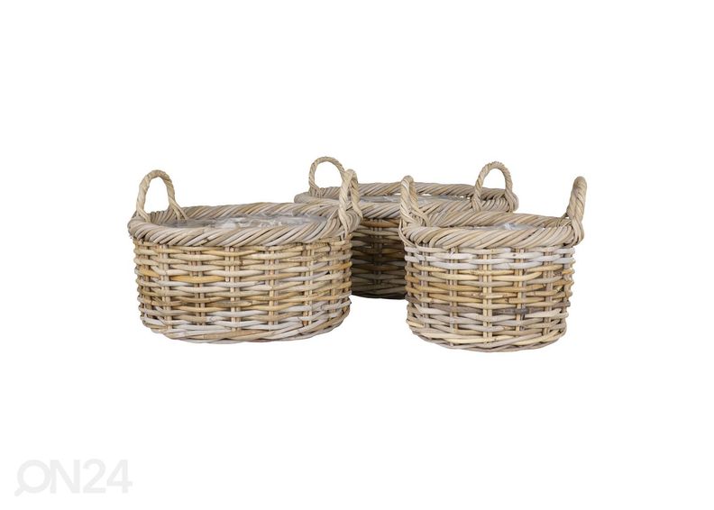 Korvid / lillepotid Bạc Liêu 3 tk suurendatud