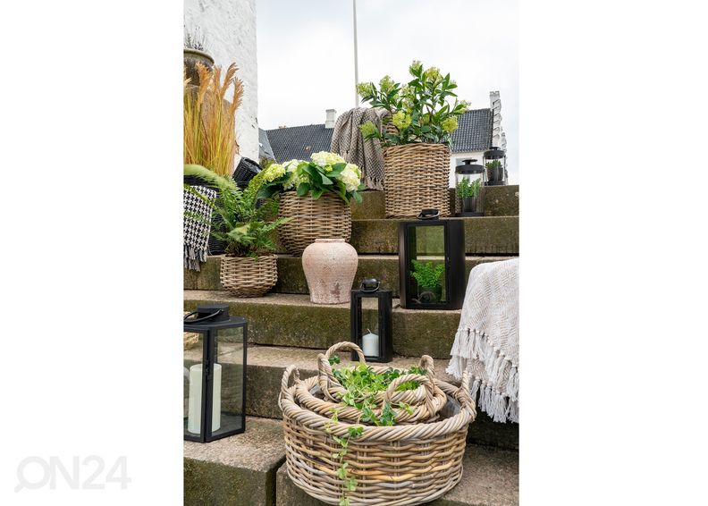 Korvid / lillepotid Bạc Liêu 3 tk suurendatud