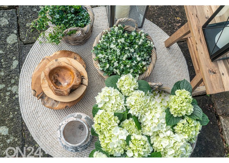 Korvid / lillepotid Bạc Liêu 3 tk suurendatud