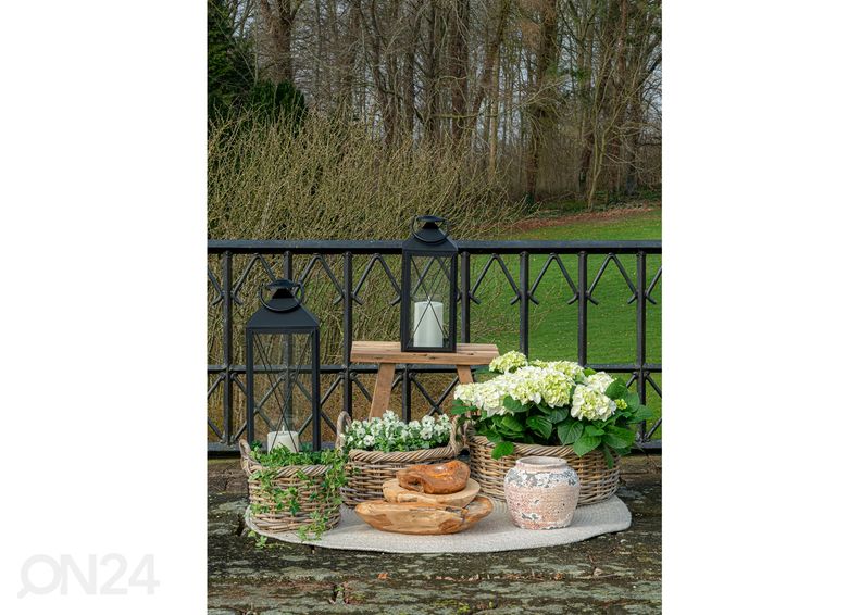 Korvid / lillepotid Bạc Liêu 3 tk suurendatud