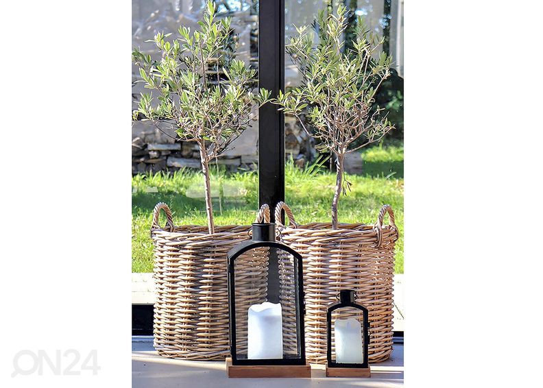 Korvid / lillepotid Dĩ An 2 tk suurendatud