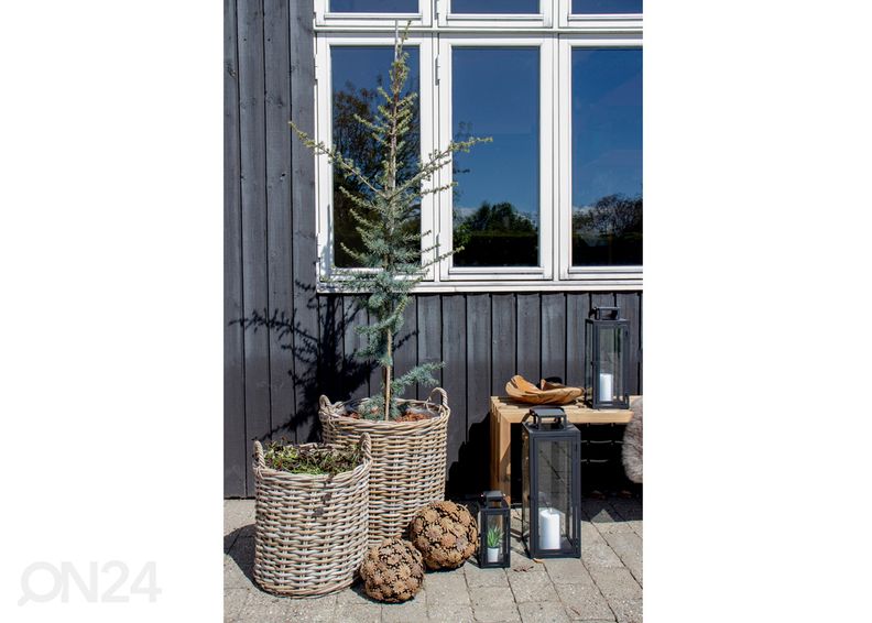 Korvid / lillepotid Dĩ An 2 tk suurendatud