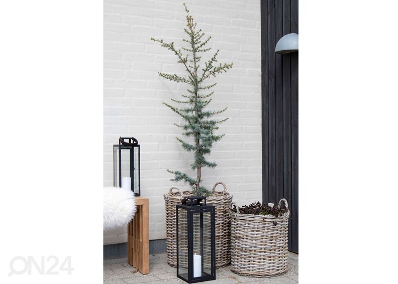 Korvid / lillepotid Dĩ An 2 tk suurendatud