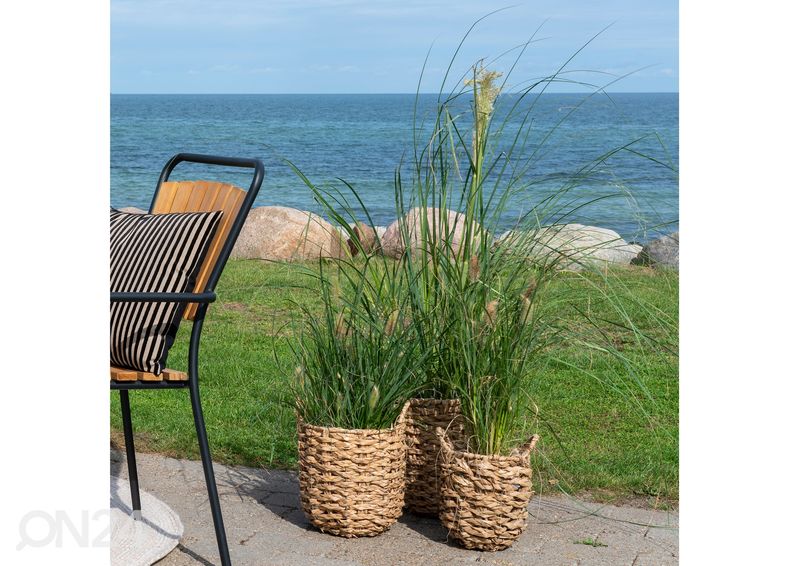 Korvid / lillepotid Hue 3 tk suurendatud