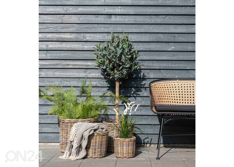 Korvid / lillepotid Nam Định 4 tk suurendatud