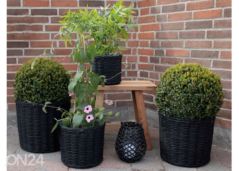 Korvid / lillepotid Nam Định 4 tk suurendatud