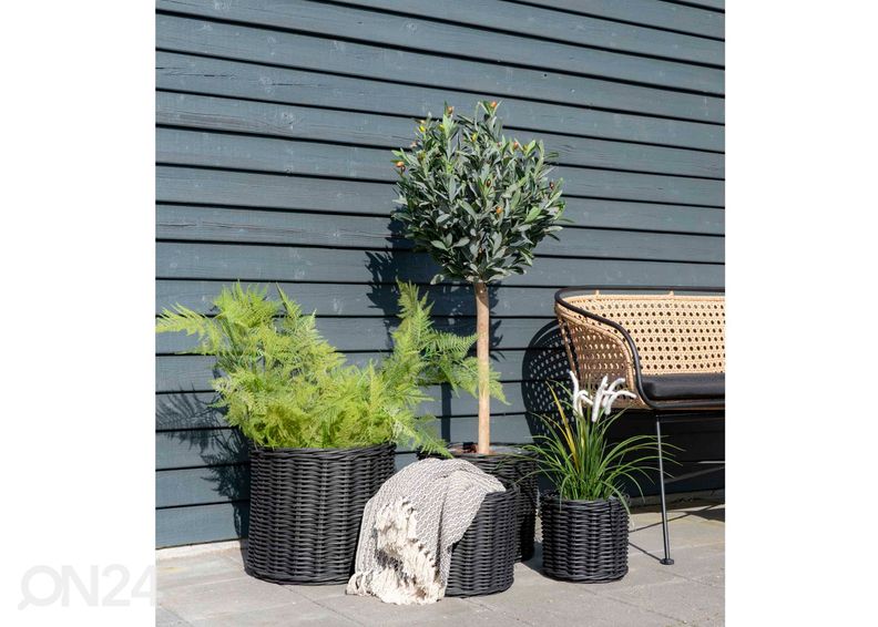 Korvid / lillepotid Nam Định 4 tk suurendatud