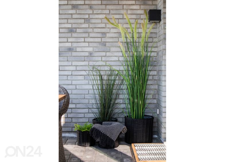 Korvid / lillepotid Nam Định 4 tk suurendatud