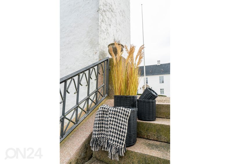 Korvid / lillepotid Nam Định 4 tk suurendatud