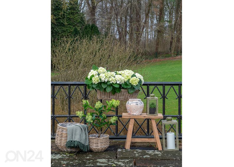 Korvid / lillepotid Pulo 2 tk suurendatud