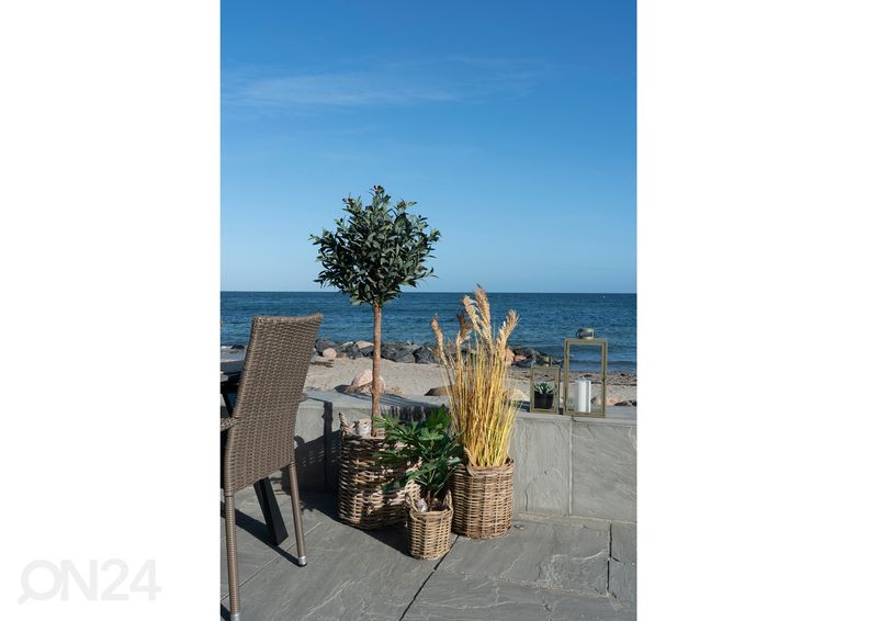 Korvid / lillepotid Sema 3 tk suurendatud