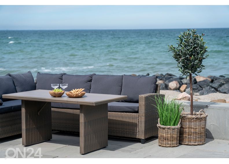 Korvid / lillepotid Vũng Tàu 2 tk suurendatud