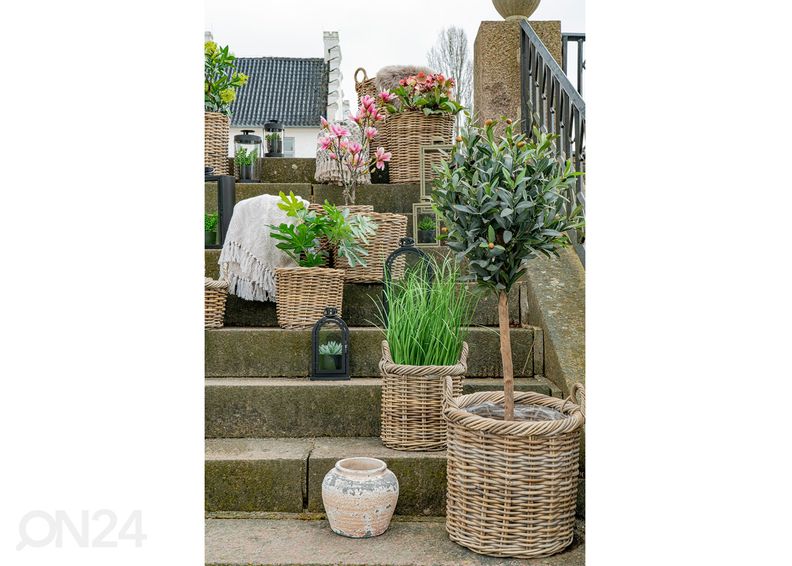 Korvid / lillepotid Vũng Tàu 2 tk suurendatud