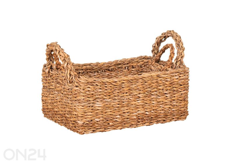 Korvid Morella 2tk suurendatud