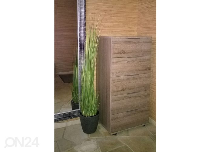 Kummut Easy Plus suurendatud