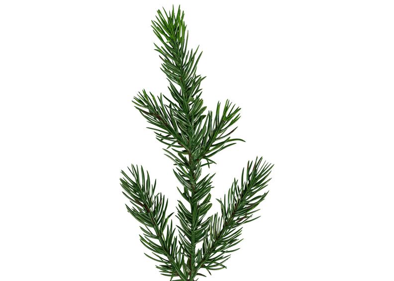 Kunstkuusk Malung LED 200 cm suurendatud