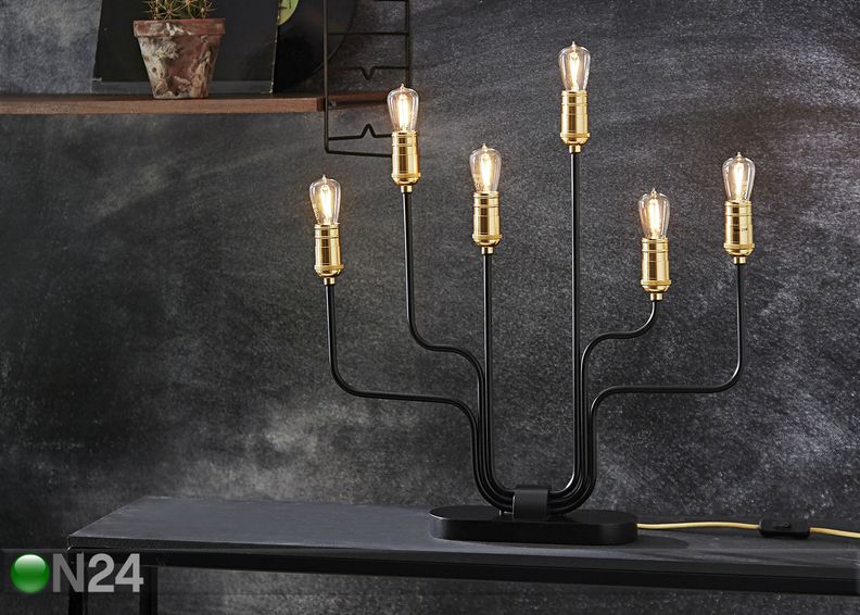 Küünlajalg Flemming suurendatud