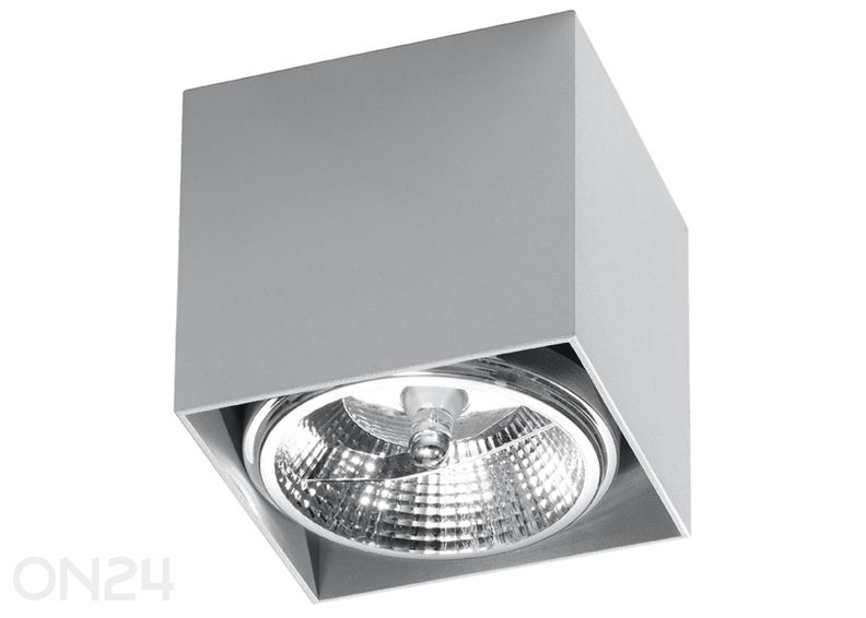 Laelamp Blake suurendatud