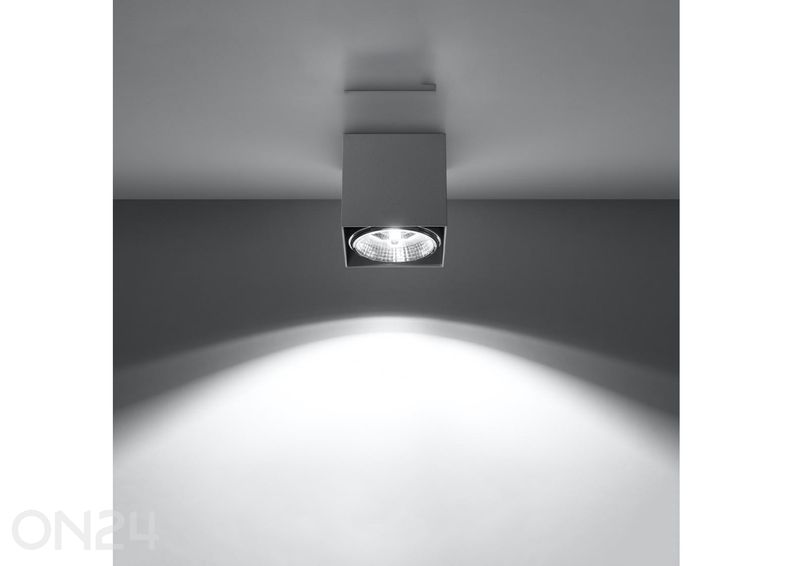 Laelamp Blake suurendatud