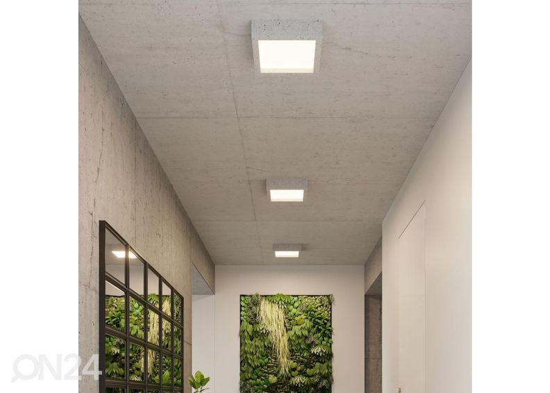 Laelamp Riza, betoon suurendatud