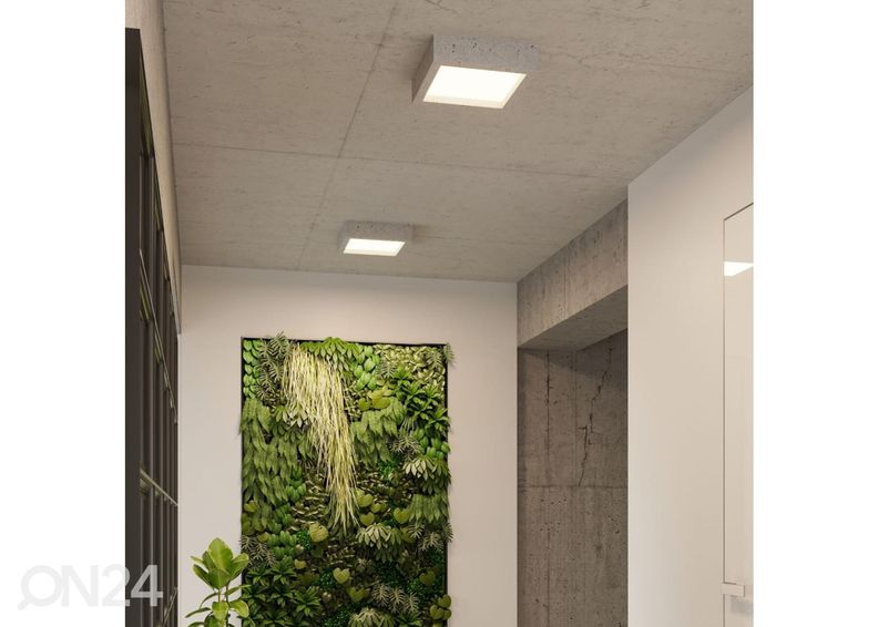 Laelamp Riza, betoon suurendatud