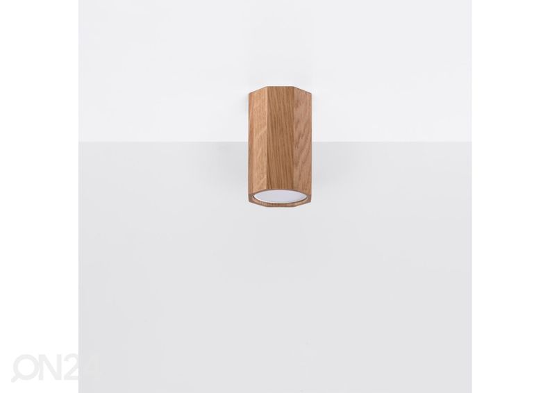Laelamp Zeke 10, tamm suurendatud