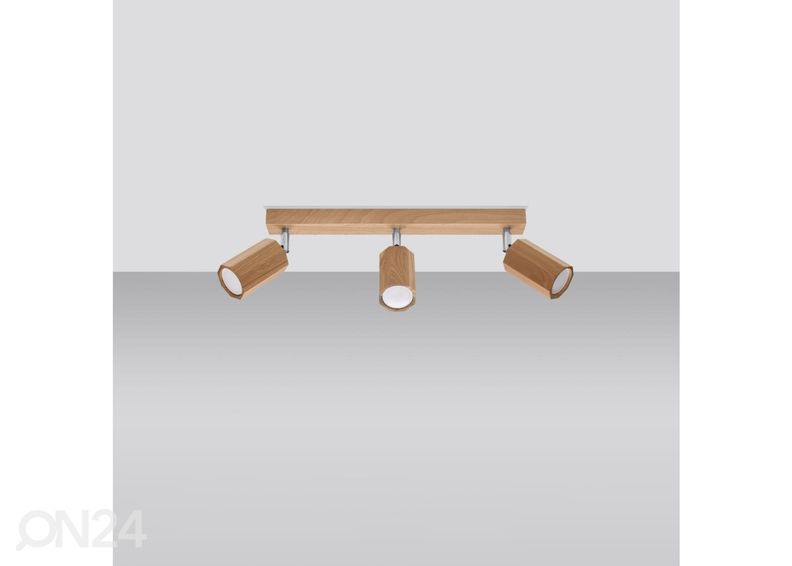 Laelamp Zeke 3, tamm suurendatud